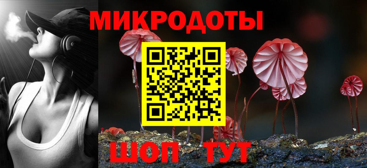 Галлюциногенные грибы Psilocybe Усть-Илимск