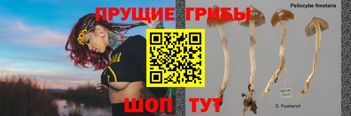 Галлюциногенные грибы Psilocybe  Псилоцибиновые грибы прущие грибы  Усть-Илимск  Вход с VPN 
